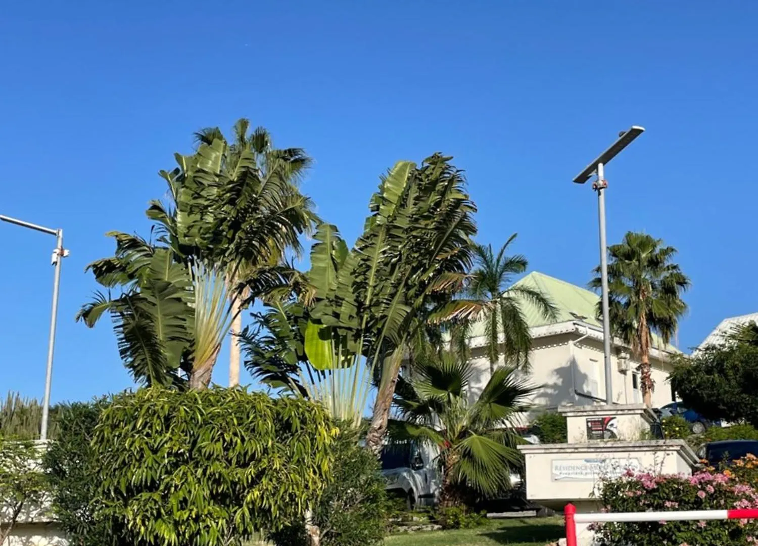 Studio Iguana Cul de Sac 0*,