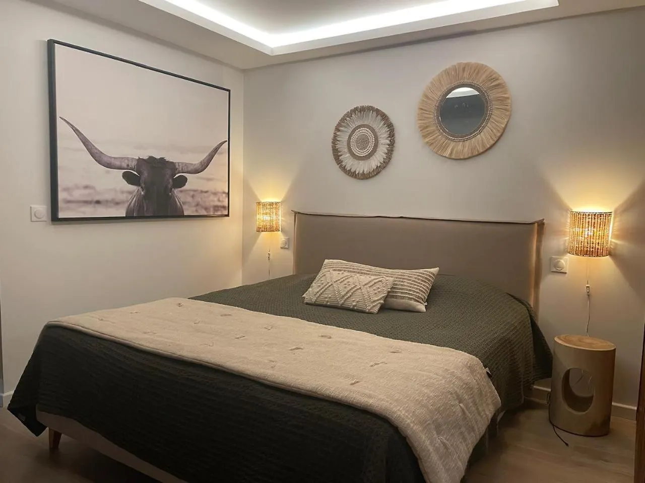 Studio Iguana Cul de Sac Apartment